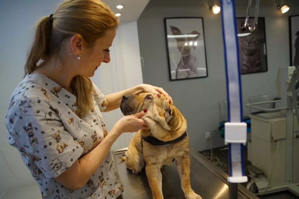 Veterinární lékárna a špičkové vybavení